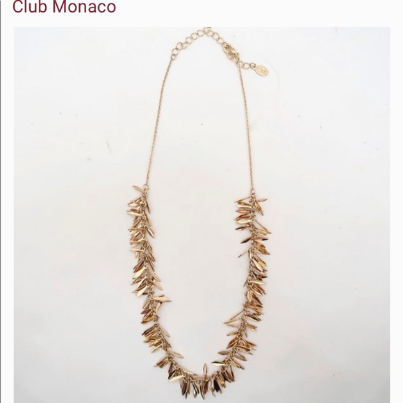 ISO ***NOT fOR SALE*** Club Monaco Gold Leaf Fringe Necklace - Picture 3 of 3